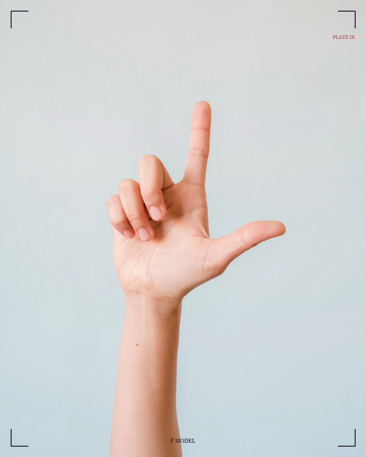 智慧印 / Gyan · Knowledge mudra
